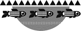 web_design